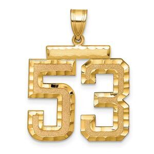 14k Yellow Gold, Varsity Collection, Large D/C Pendant Number 53